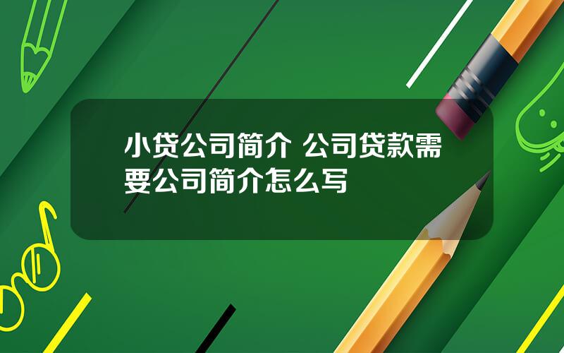 小贷公司简介 公司贷款需要公司简介怎么写